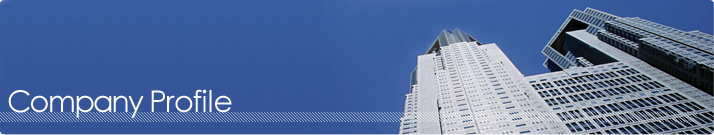Company Profile